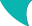 Fin icon on a transparent background in light green